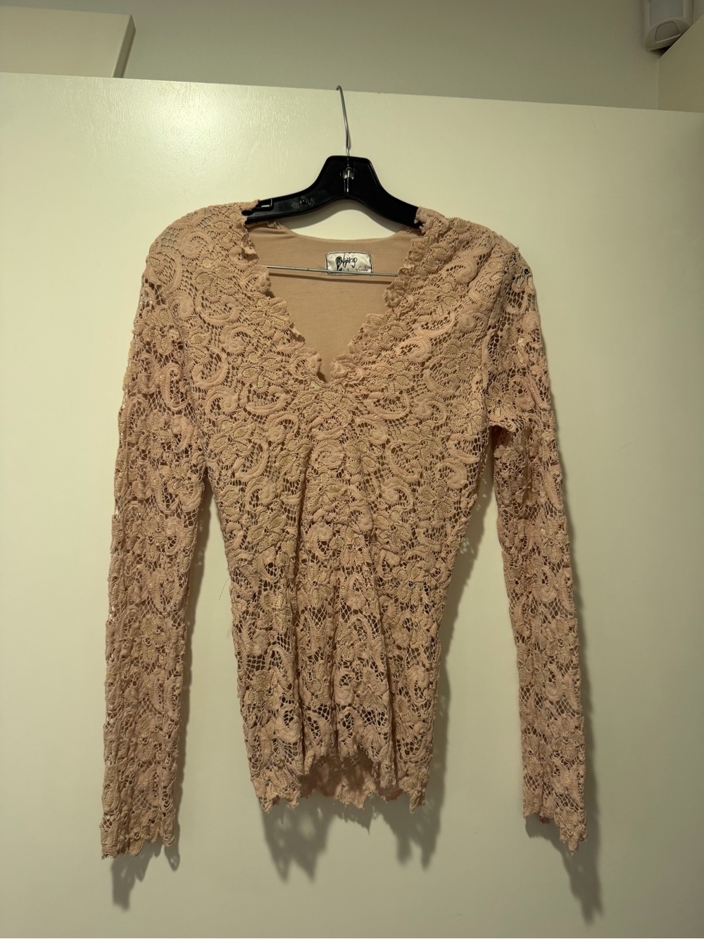 Nightcap Blush Lace V-Neck Long Sleeve Top